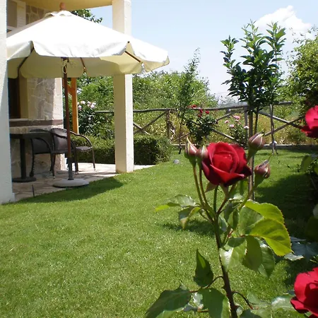 Guest house Olympia Vergina
