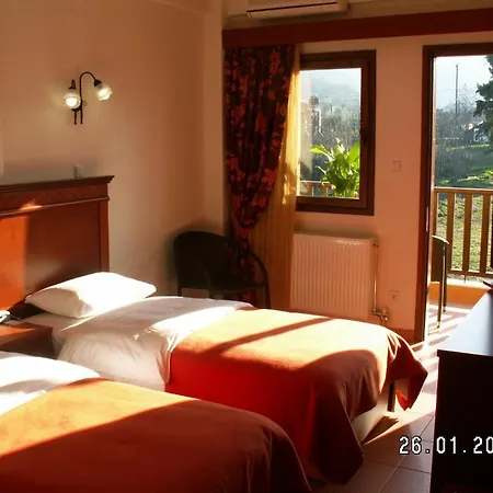 Guest house Olympia 3*